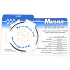 3-849 Dynalloy Flexinol Wire Ht