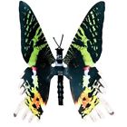 Kur Dynalloy Flexinol Moving Butterfly Urania 688040000350