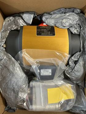 25f39sn6 Worcester Controls R7 Flowserve Pneumatic Actuator Valve Assembly