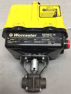 T4893 Worcester R000 Series 75 Actuator Model 12p 754x R44