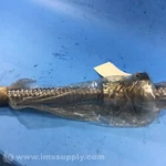 Koyo MC0017 Ball Screw Usip. Fixed Price $34.08.
