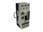 Used Westinghouse HM2P250L5W Circuit Breaker 600VAC / 250VDC HM2P2LWS10. Fixed Price $225.00.