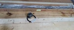 Iko LWHT15C2R1500 Nippon Thompson Linear Rail =one + Blocks=. Fixed Price $800.00.