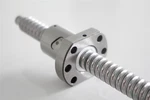 L300MM SFU1605-300 RM1605 With Ballnut End Machined. Fixed Price $28.13.