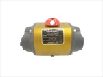 Flowserve 1539S120AR6 80PSI Nsnp. Fixed Price $650.00.