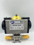 New Nos Sm MT16.S4.F04-F07.CH14 Pneumatic Actuator 150 Psi Spring Return. Fixed Price $280.00.